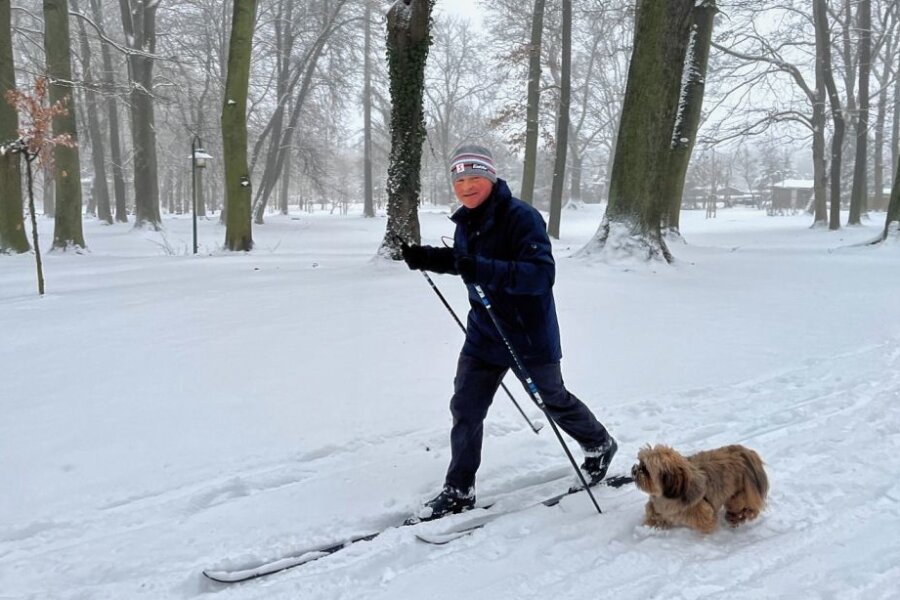 Skilaufen im Reichenbacher Stadtpark statt auf der Kammloipe - 