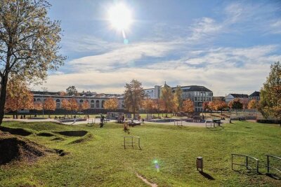 So könnte der neuen Basketball-Platz im Chemnitzer Konkordiapark aussehen - Der wohl beliebteste Anlaufpunkt für Jugendliche in Chemnitz ist der Konkordiapark.