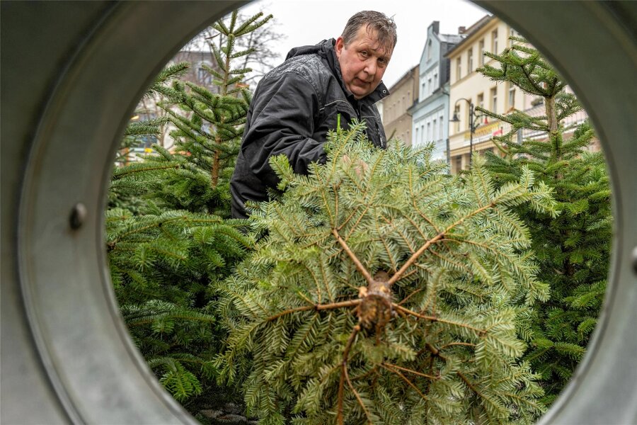 So lief das Geschäft bei Händlern auf dem Auerbacher Weihnachtsmarkt - Tannenbaumverkäufer Jörg Wesp von „Wald-Jacob Wohlhausen“ kann auf Stammkundschaft vertrauen. Ältere Kunden kauften ihren Baum gern zeitig. Für Spätentschlossene hat Wesp noch bis 22., vielleicht auch 23. Dezember auf.