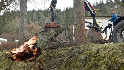 So lief der Sturm-Tag im oberen Vogtland - Schäden im Kurpark von Bad Elster: Bei den Aufräumarbeiten kam Enrico Voigt vom gleichnamigen Holzrückeunternehmen aus Markneukirchen zum Einsatz. 