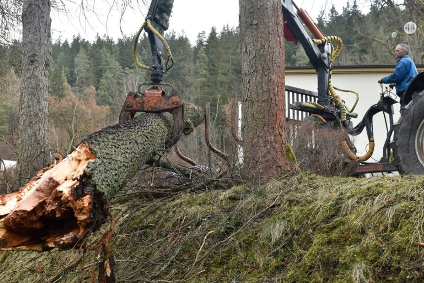 Schäden im Kurpark von Bad Elster: Bei den Aufräumarbeiten kam Enrico Voigt vom gleichnamigen Holzrückeunternehmen aus Markneukirchen zum Einsatz. 