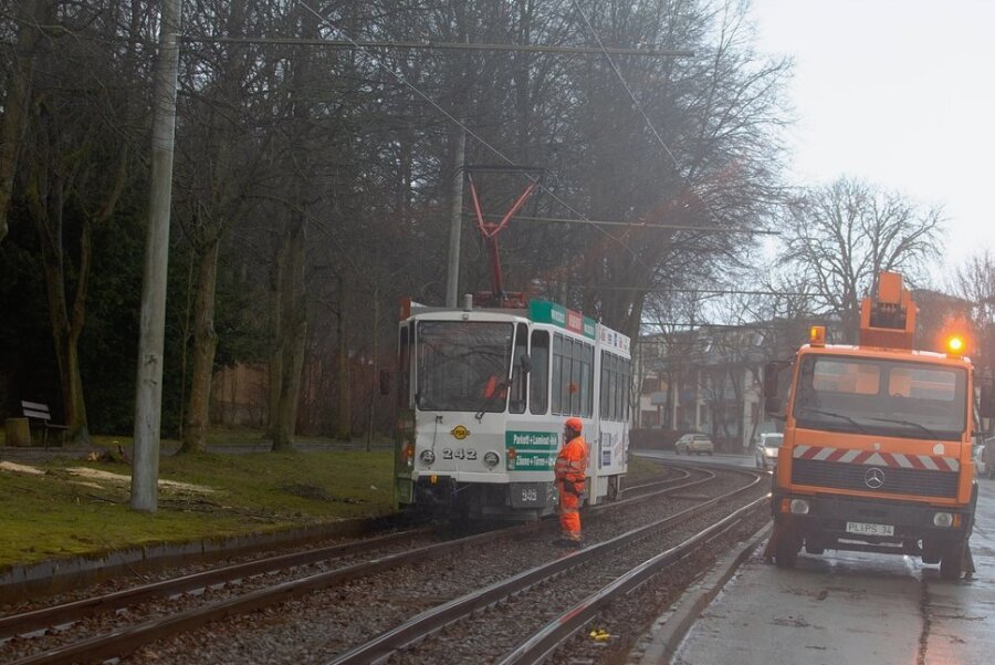 So lief der Sturm-Tag im Vogtlandkreis - Kurz vor dem Hauptfriedhof musste die Straßenbahn pausieren, weil ein Ast auf die Leitung gefallen war. Diese musste repariert werden. Es kam zu Verzögerungen im Linienverkehr. 