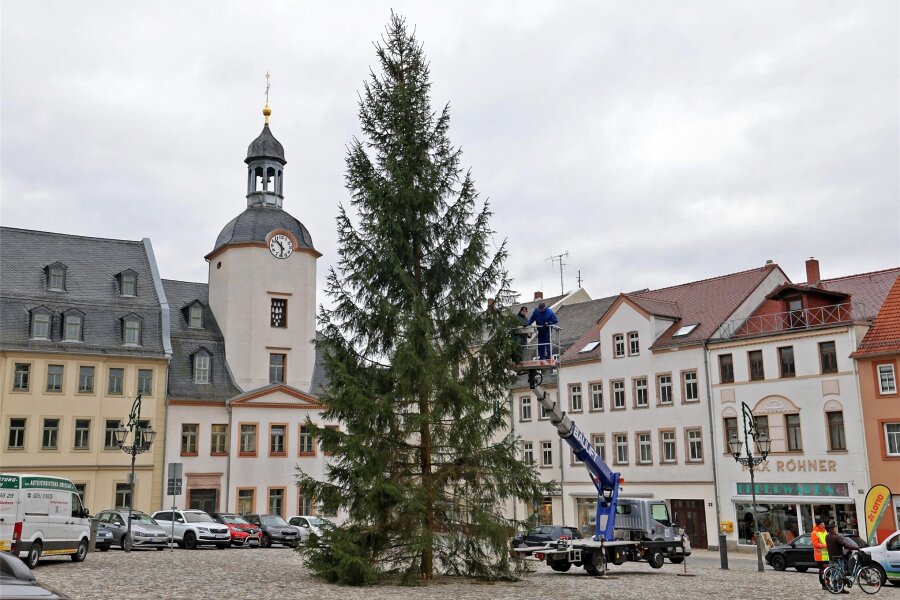 So sieht der Glauchauer Weihnachtsbaum aus - Am Glauchauer Weihnachtsbaum wird die Beleuchtung angebracht, die aber erst nächste Woche in Betrieb geht.