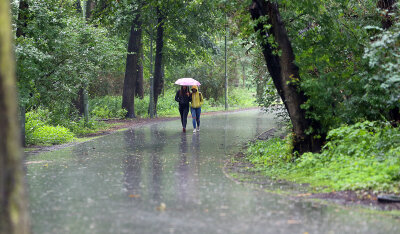 So stark regnete es von Dienstag auf Mittwoch in Sachsens Gemeinden - 