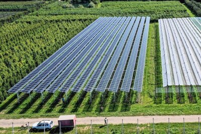 Solarkraftwerke in Chemnitz bald auch auf Feldern? - So könnte Agri-Fotovoltaik aussehen: In Rheinland-Pfalz gibt es auf einer Obstplantage ein Forschungsprojekt. Dabei werden verschiedene Solarmodul-Technologien (links) und herkömmliche Kulturen-Schutzsysteme (rechts) getestet. Die Obstbäume wachsen jeweils darunter. 