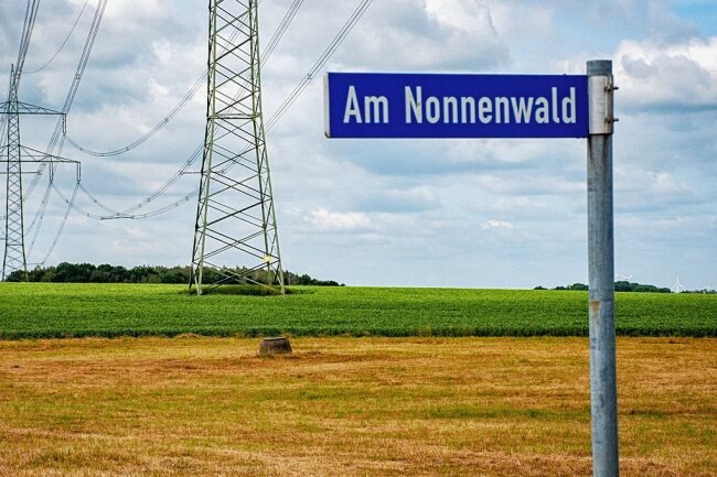 Solarpark in Kriebstein umstritten: Kompromiss liegt nun auf dem Tisch - Das Bild zeigt das Areal des geplanten Solarparks.