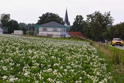 Solarpark-Pläne: Kritik aus Oberwiera wird lauter und härter - Dort, wo jetzt noch Kartoffeln angebaut werden, ist ein Solarpark geplant. Rechts ist die Verbindungsstraße zwischen Oberwiera und Neukirchen zu sehen. 