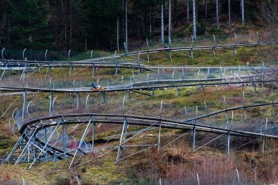 Sommerrodelbahnen: Diese 7 Anlagen stechen heraus - Die Sommerrodelbahn am Hasenhorn im Schwarzwald ist fast drei Kilometer lang.
