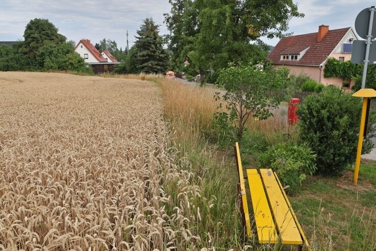 An der Erlbacher Straße in Oberlungwitz sollen zwei neue Eigenheime gebaut werden. Im Stadtrat gab es dazu nochmals eine Debatte.