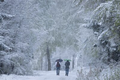 Spätes Winterwetter in Teilen von Deutschland - Spaziergänger laufen über einen verschneiten Wanderweg im Taunus.