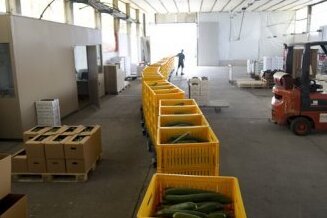 Spanien will hohe Entschädigung - Die spanische Regierung will auf dem EU-Sondertreffen zur EHEC-Krise eine umfassende Entschädigung für ihre Gemüseproduzenten fordern - von Deutschland. Der Schaden für Spanien soll rund 200 Millionen Euro pro Woche betragen.