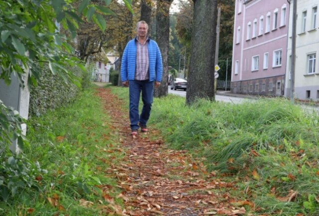 SPD-Stadtrat macht sich für Wegsanierung stark - Gegenwärtig müssten Leute mit Gehhilfe am Teichplatz den Bürgersteig auf der anderen Seite nutzen. Das könnte bedeuten: zweimal mehr die Straße überqueren. Unhaltbare Zustände, sagt Stadtrat Jürgen Hofmann. 
