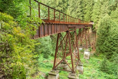 Spektakulärer Rettungsplan: Historische Fuchsbrunnbrücke soll mit Kran aus Erzgebirgswald geholt werden - Blick von der Seite auf die alte Fuchsbrunnbrücke. Sie soll saniert und mit einer geschlossenen Decke versehen werden.