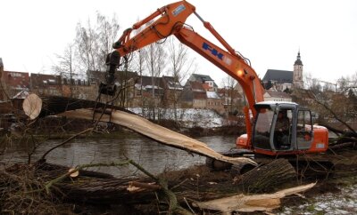 Sperrung für letzte Flutschutz-Etappe - Start für den Peniger Hochwasserschutz war im Januar 2011 - am Ufer der Zwickauer Mulde wurden Bäume gefällt. Dies war für die späteren Bauarbeiten an der Lunzenauer Straße notwendig. 