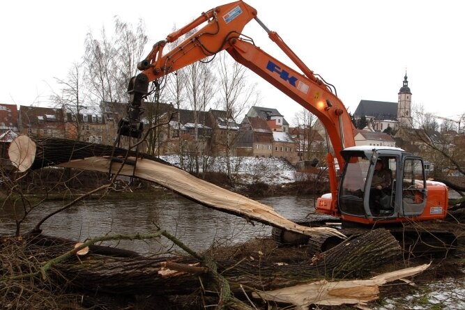Sperrung für letzte Flutschutz-Etappe - Start für den Peniger Hochwasserschutz war im Januar 2011 - am Ufer der Zwickauer Mulde wurden Bäume gefällt. Dies war für die späteren Bauarbeiten an der Lunzenauer Straße notwendig. 
