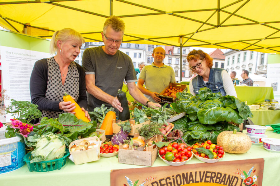 "Spitzengenuss" erreicht Höhepunkt mit buntem Markttreiben - Zucchini, Tomaten, Kohlrabi und mehr: Mit bunter Gemüse-Auswahl lockten Stände auf dem Plauener Altmarkt beim "Spitzengenuss".