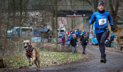 Sport für Hund und Halter - Zweite Auflage des Canicross-Berglaufes - Siegerduo der Frauen: Doreen Baldauf mit Clyde, die beinahe flogen.