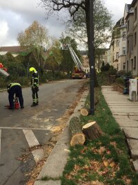 Stadt Chemnitz meldet 170 Einsätze wegen Sturmschäden - Die Feuerwehr war mit drei Fahrzeugen im Einsatz an der Schiersandstraße, um die Bäume zu fällen und zu zerlegen.