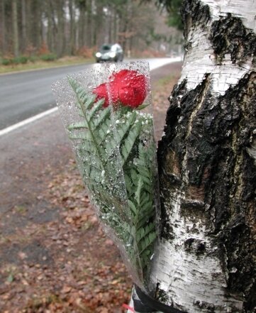 Stadt Freiberg will Unfallstelle entschärfen - 
              <p class="artikelinhalt">Eine Rose erinnerte an der Unfallstelle an den getöteten 15-Jährigen. </p>
            