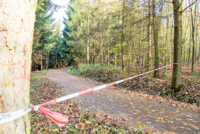 Stadt Marienberg warnt vor Sturmschäden in Wäldern und auf Straßen - Nach dem Sturm sind im Erzgebirge Waldwege gesperrt.