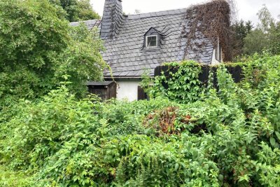 Stadt Oelsnitz schreibt Haus von Künstlerin Heinecke erneut aus - Verwunschenes Naturidyll: Das Haus der verstorbenen Künstlerin Regine Heinecke soll verkauft werden.