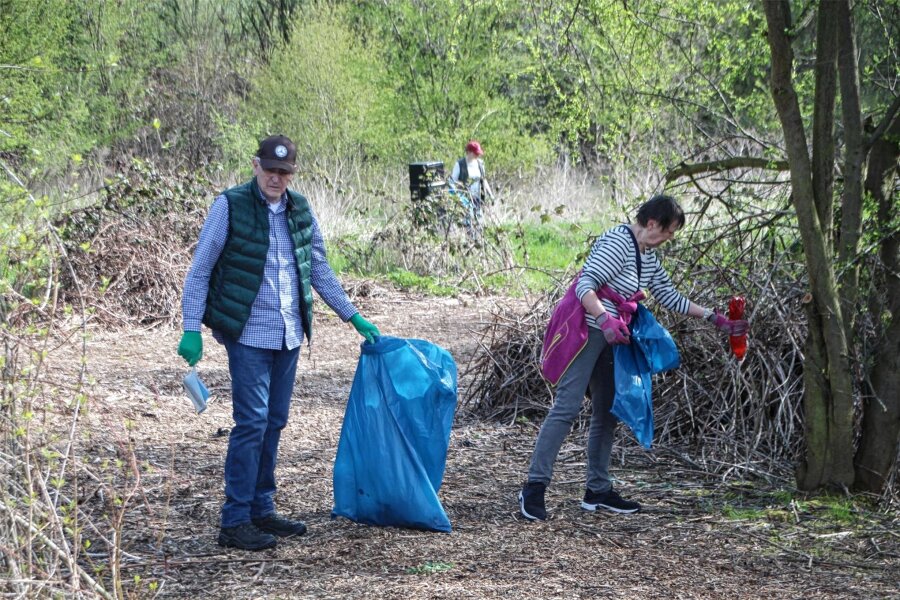 Stadt Zwickau sucht Freiwillige für den Frühjahrsputz - Im Vorjahr bemühten sich Freiwillige beim Frühjahrsputz um ein sauberes Stadtbild.