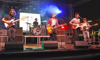 Stadtfest Werdau lockt mit Partymusik und Feuerwerk - Die Werdauer Indie-Rockband "Still Trees" hatte am Freitagabend zum Stadtfest ein Heimspiel.