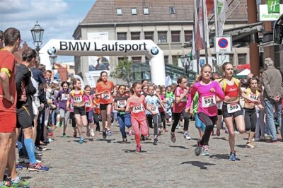 Stadtlauf-Vorbereitung biegt auf Zielgerade ein - Beim Zwickauer Stadtlauf 2015 gingen mehr als 1150 Sportlerinnen und Sportler an den Start.