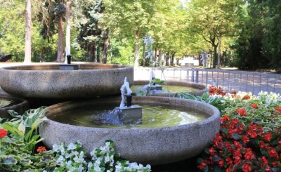 Stadtpark erwacht alle zwei Jahre beim Parkfest zum Leben - Im Park sprudelt ein Brunnen. Bei den Blumen dort handelt es sich um die einzige Bepflanzung. 