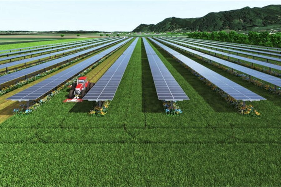 Stadtrat ebnet Weg für Photovoltaikanlage in Grünberg - Symbolbild für eine Agri-PV-Anlage. Die Module werden so hoch montiert, dass Landwirtschaft möglich ist.