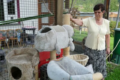 Starkregen richtet Schaden in Zschopauer Tierschutzstation an - Schweren Herzens mussten Christine Grzelka und ihre Mitstreiter diese Spielgeräte für Katzen aussortieren.