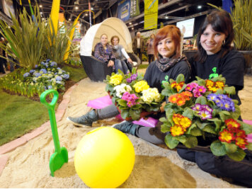Im März locken die Messen "Chemnitzer Frühling" und "Vital" wieder in die Chemnitz-Arena. Im vergangenen Jahr wurden dafür 1200 Primel, 500 Tulpen und 300 Narzissen eingepflanzt, unter anderem von den Floristinnen Katja Kraban und Tina Münzner (von links) vom Gartenfachmarkt Richter.