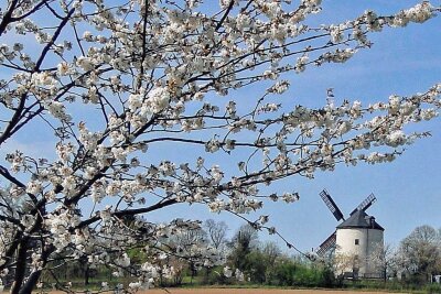 Start in die Mühlensaison, Eiersuche, Bier-Ausstellung: Was am Ostermontag im Vogtland los ist - Die einzige Windmühle im Vogtland startet am Ostermontag in die Saison.