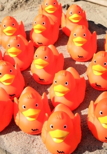 Statt Flusspiraten gibt es Gummi-Enten - Diese Enten schwimmen am Sonnabend um die Wette. 