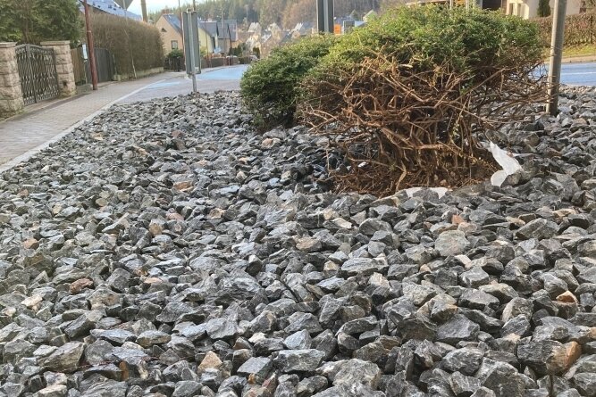 Steinbeet statt Blütenpracht sorgt für Empörung - Steine statt Blütenpracht: An der Kreuzung Straße der Einheit in Bernsbach sind Sträucher durch Kies ersetzt worden. 