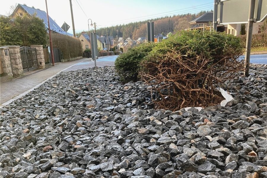 Steine statt Blütenpracht: An der Kreuzung Straße der Einheit in Bernsbach sind Sträucher auf diese Weise ersetzt worden. 