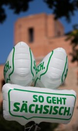 "Stille Post" bringt viel Werbung für Sachsen und Nürnberg - Das Logo der Sachsen-Kampagne. Sie wurde im Sommer vorigen Jahres gestartet und läuft bis 2016.