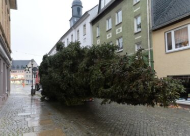 Stollberger Weihnachtsbaum zwängt sich durch enge Gassen - Am Montag wurde der Weihnachtsbaum zum Stollberger Markt gebracht.