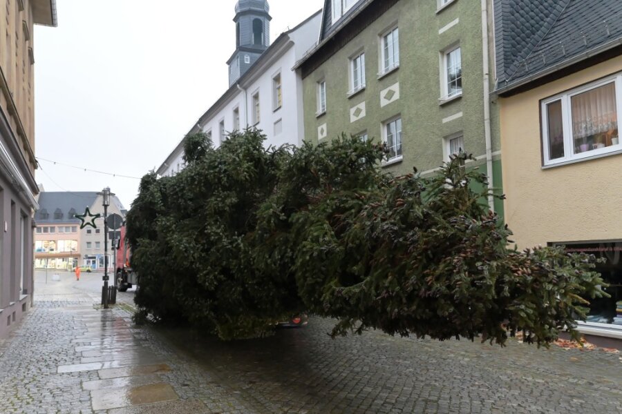 Stollberger Weihnachtsbaum zwängt sich durch enge Gassen - Am Montag wurde der Weihnachtsbaum zum Stollberger Markt gebracht.