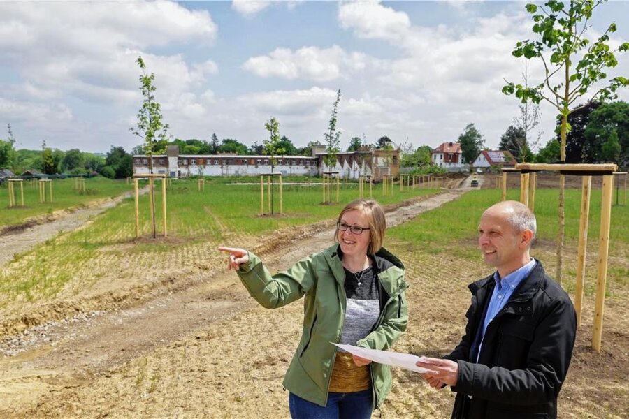 Sträucher und Bäume für grüne Lunge in Meerane - Bürgermeister Jörg Schmeißer und Mitarbeiterin Sabine Schumann informieren sich über die Baumpflanzungen. 