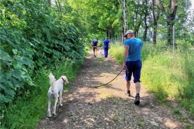 Straftäter im Tierheim Freiberg - Zum Abschluss des Arbeitseinsatzes dürfen die Gefangenen der JVA Waldheim die Hunde spazieren führen.