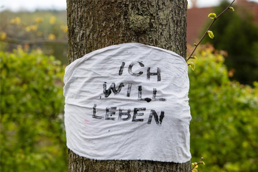 Straßenausbau in Plauen: Müssen 40 Bäume weg? - Anwohner haben Binden an die Linden auf der Jößnitzer Zufahrtsstraße gebunden, auf denen steht: „Ich will leben“.