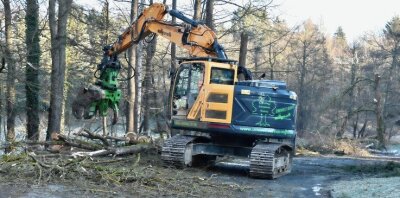 Straßenbau in Leubetha wird vorbereitet - Die Arbeiten starteten mit Baumfällungen, der eigentliche Bau der Kreisstraße nach Leubetha ist ab Mitte März vorgesehen. 