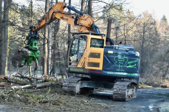 Straßenbau in Leubetha wird vorbereitet - Die Arbeiten starteten mit Baumfällungen, der eigentliche Bau der Kreisstraße nach Leubetha ist ab Mitte März vorgesehen. 