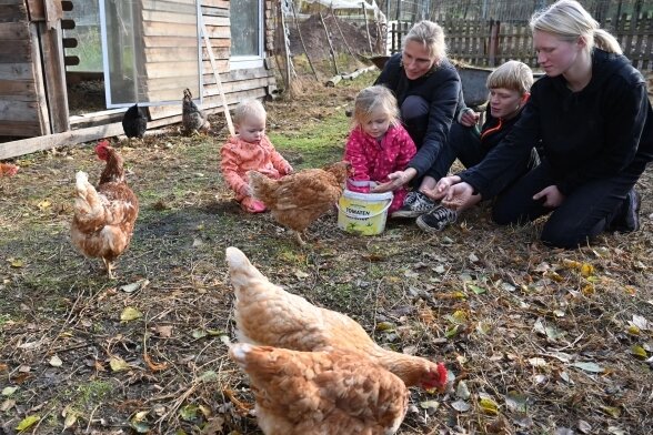 Alle packen auf dem Streichelhof in Garnsdorf beim Füttern der rund 100 Hühner und 30 Hähne unterschiedlicher Rassen gemeinsam zu: Marienette (1), Mirella (3), Mutter Mandy (35), Lino (13) und Melissa (16) Naumann (von links).