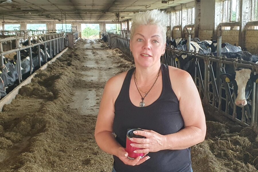Streit um Tierhaltung: Vogtländische Landwirtin soll 210.000 Euro für beschlagnahmte Pferde zahlen - Landwirtin Manja Tröger in der Milchviehanlage Hartmannsgrün. Sie gehört seit Kurzem dem Kreistag an und sieht sich Behördeneifer ausgesetzt.
