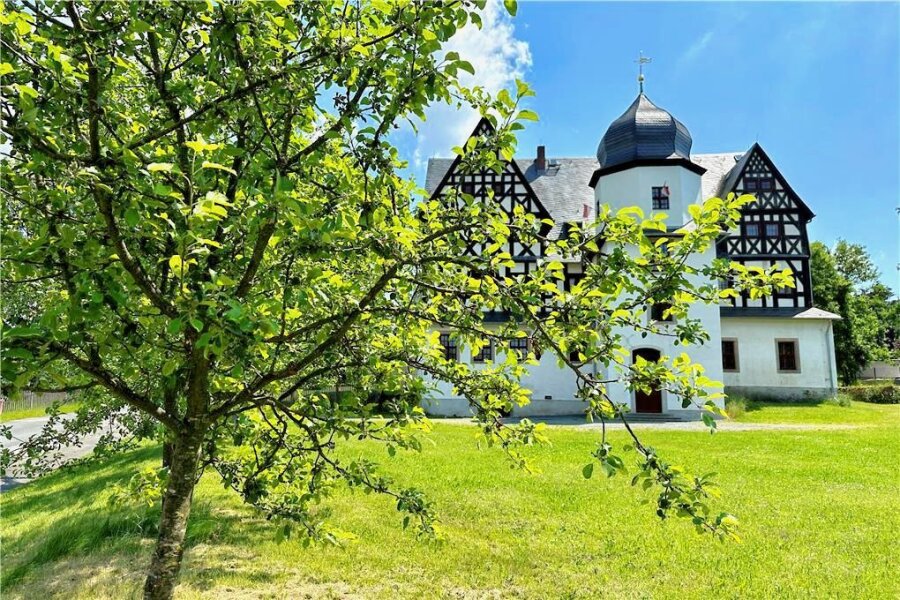 Strengerer Baumschutz für Treuen im Gespräch - Stadtgrün, wie am Treuener Schloss, sollte über eine Baumschutzsatzung geregelt sein, meint "Die Linke".