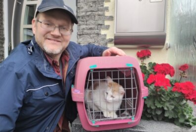 Streunende Katzen halten Gelenauer in Atem - Die umherstreunende Mutterkatze in der Nachbarschaft zu fangen, gelang Thomas Steinert gleich zu Beginn seiner Suche. 