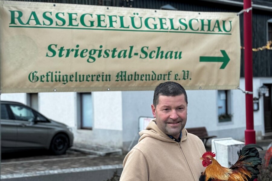 Striegistal-Schau: Mobendorfer Geflügelzüchter zeigen ihre schönsten Vögel - Seit 1990 hat Uwe Altmann als Vorsitzender die Geschicke des Mobendorfer Geflügelvereins in der Hand.