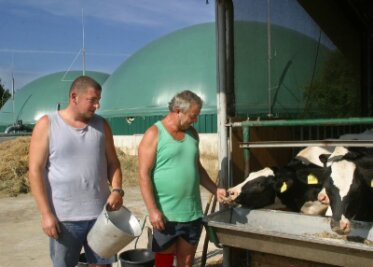 Strom und Wärme auf eigenem Mist gewachsen - Landwirt René Reichel (l.) und Anlagenwart Peter Gerhardt versorgen auf dem Bauernhof nicht nur die Tiere, sondern halten auch die Biogasanlage am Laufen.